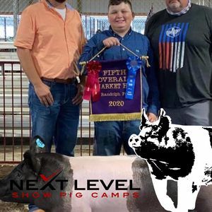 Meet your Posher, Gavin